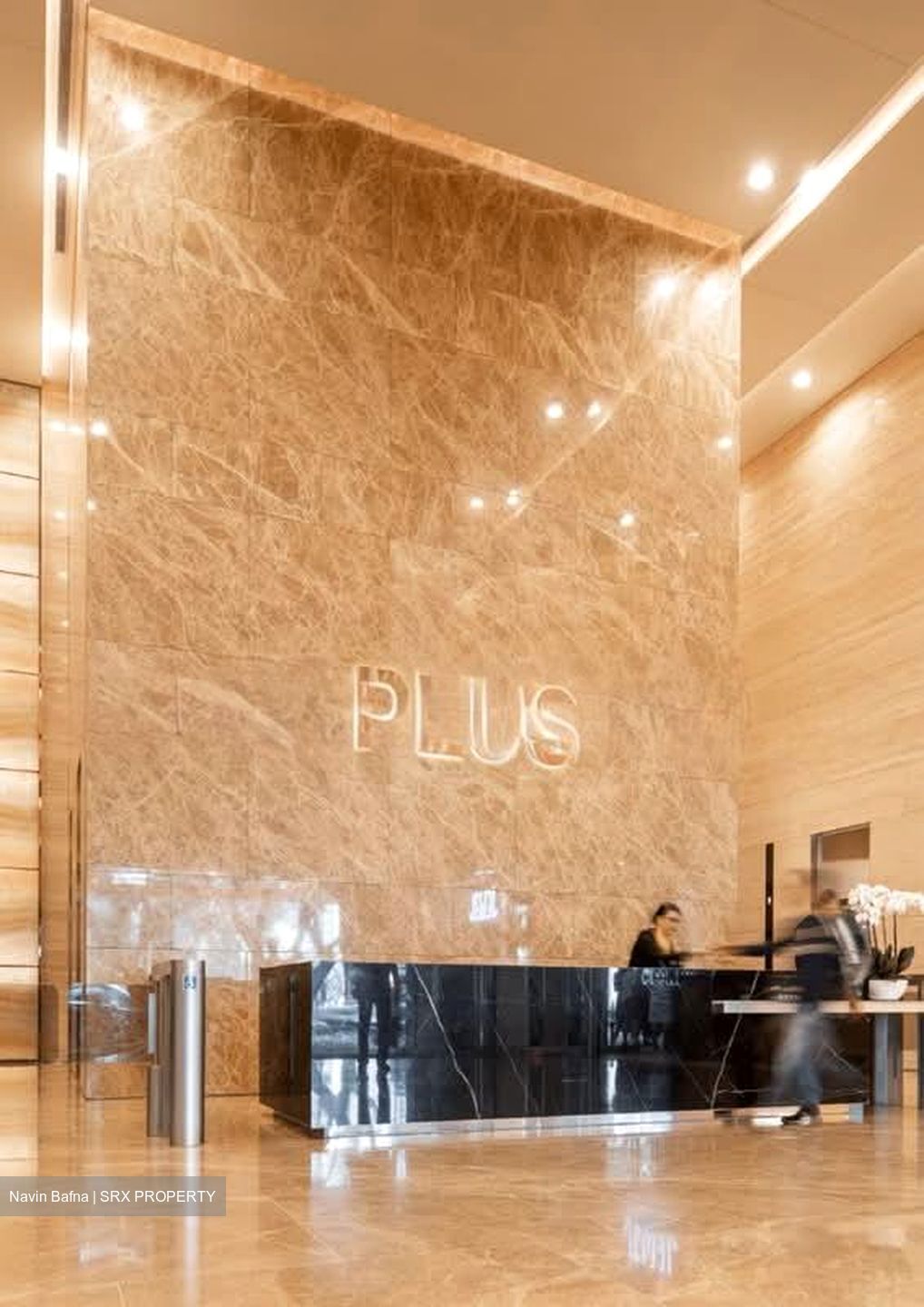 PLUS (D1), Office #563198891